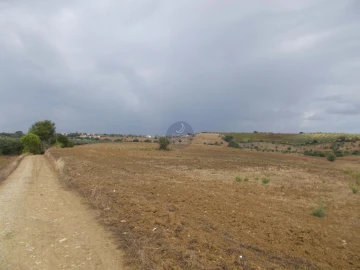 Terreno para Venda em Romeira e Várzea