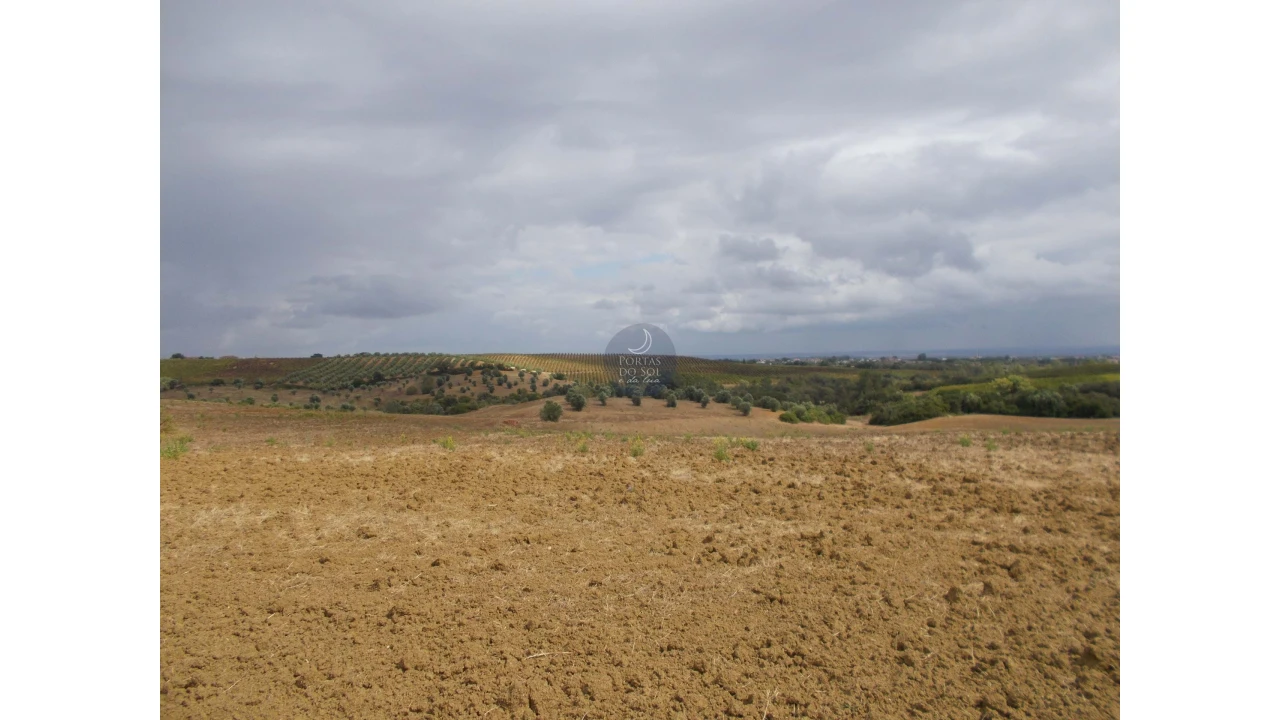 Terreno para Venda em Romeira e Várzea Foto 2