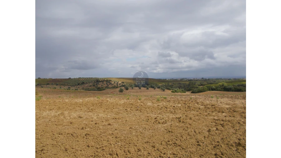 Terreno para Venda em Romeira e Várzea Foto 2