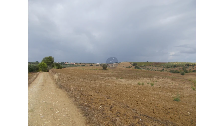 Terreno para Venda em Romeira e Várzea Foto 3