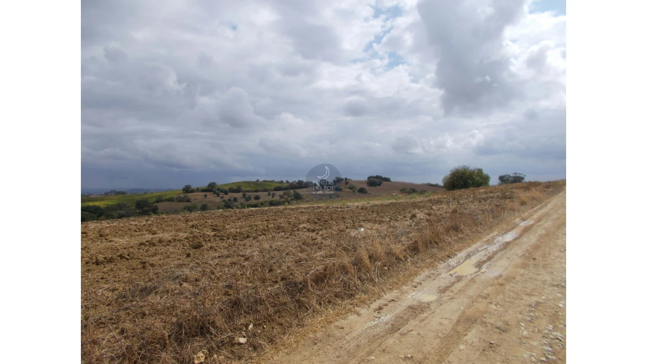 Terreno para Venda em Romeira e Várzea Foto 1