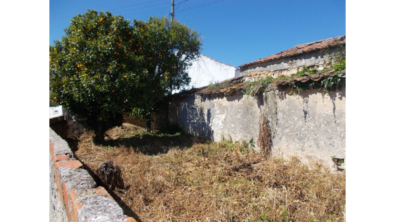 Armazém para Venda em Almoster Foto 6