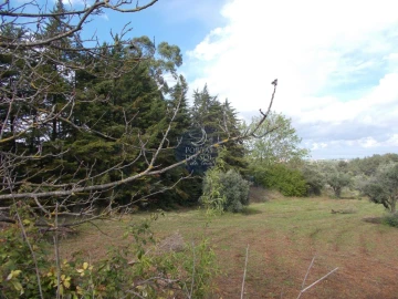 Terreno Agricola ou Rústico para Venda em Romeira e Várzea