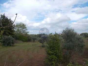 Terreno Agricola ou Rústico para Venda em Romeira e Várzea