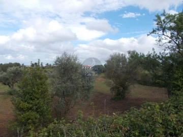 Terreno Agricola ou Rústico para Venda em Romeira e Várzea