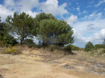 Terreno Agricola ou Rústico para Venda em Romeira e Várzea