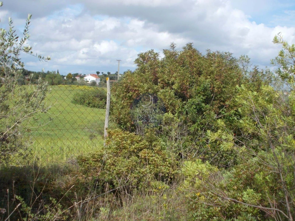Terreno Agricola ou Rústico para Venda em Romeira e Várzea Foto 5