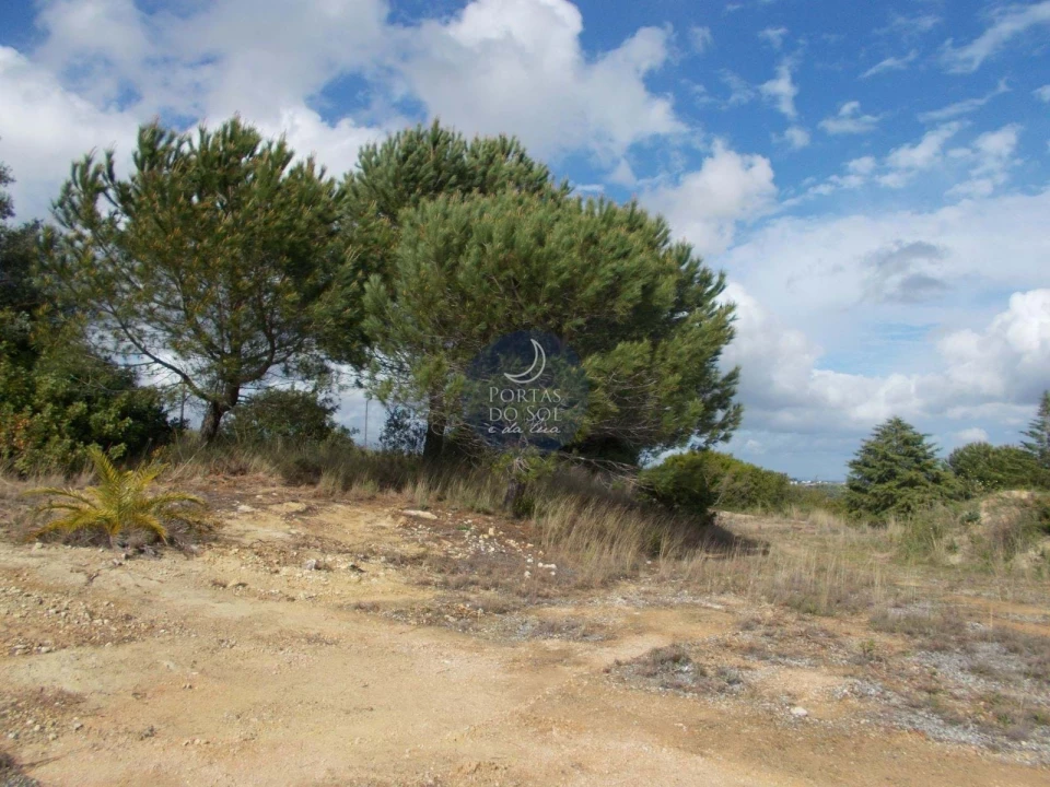 Terreno Agricola ou Rústico para Venda em Romeira e Várzea Foto 7