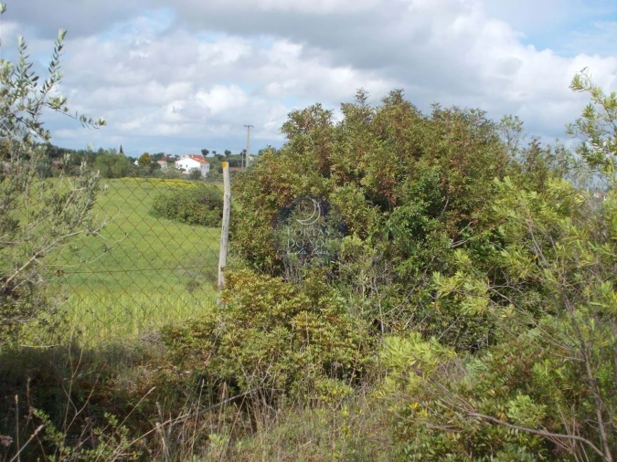 Terreno Agricola ou Rústico para Venda em Romeira e Várzea Foto 5