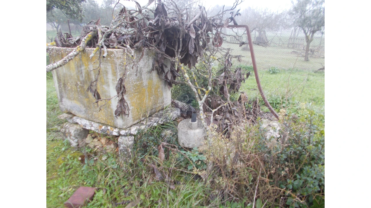 Terreno para Venda em Brogueira, Parceiros de Igreja e Alcorochel Foto 4