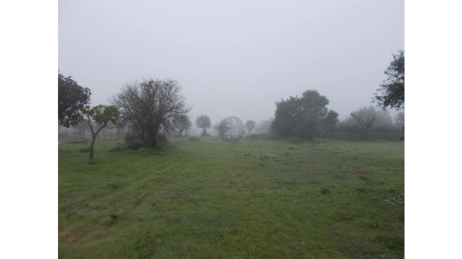 Terreno para Venda em Brogueira, Parceiros de Igreja e Alcorochel Foto 2