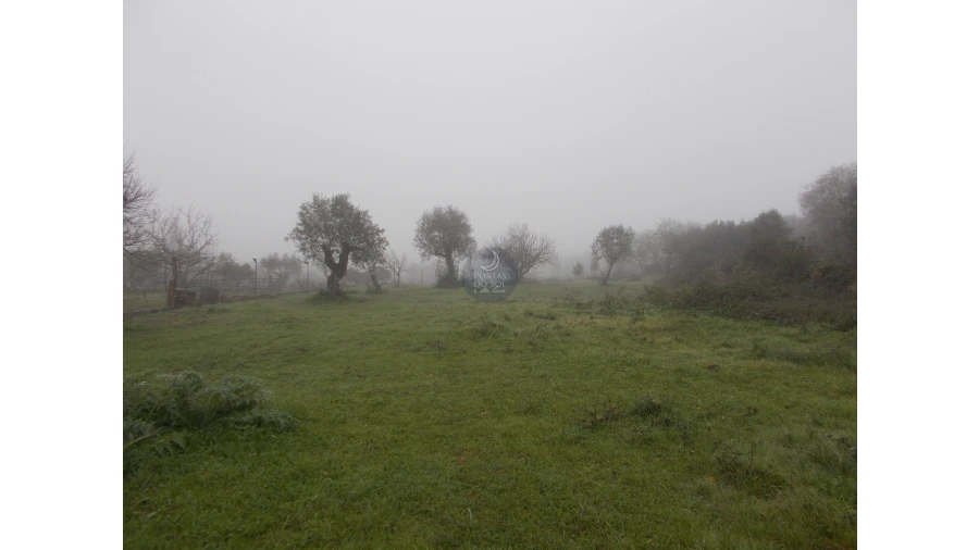 Terreno para Venda em Brogueira, Parceiros de Igreja e Alcorochel Foto 3