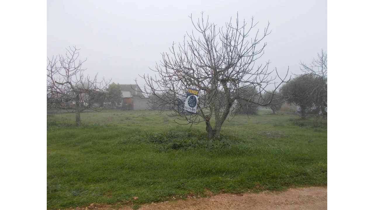 Terreno para Venda em Brogueira, Parceiros de Igreja e Alcorochel Foto 1
