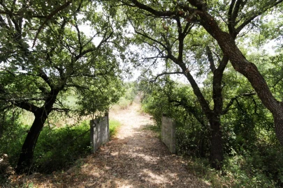 Moradia T2 para Venda em Marvila, Ribeira Santarém, São Salvador, São Nicolau