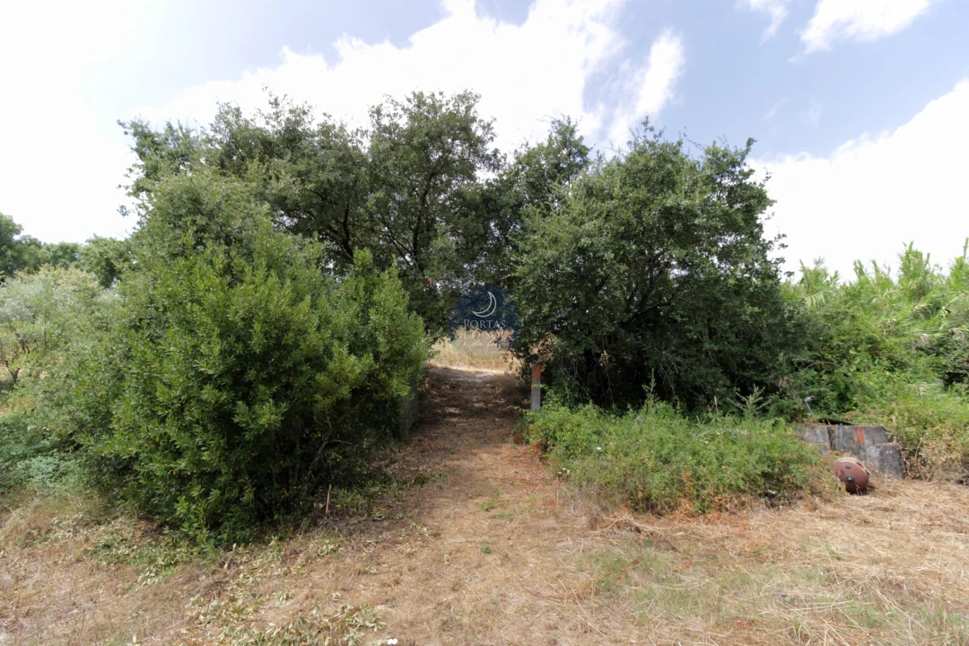 Moradia T2 para Venda em Marvila, Ribeira Santarém, São Salvador, São Nicolau Foto 23