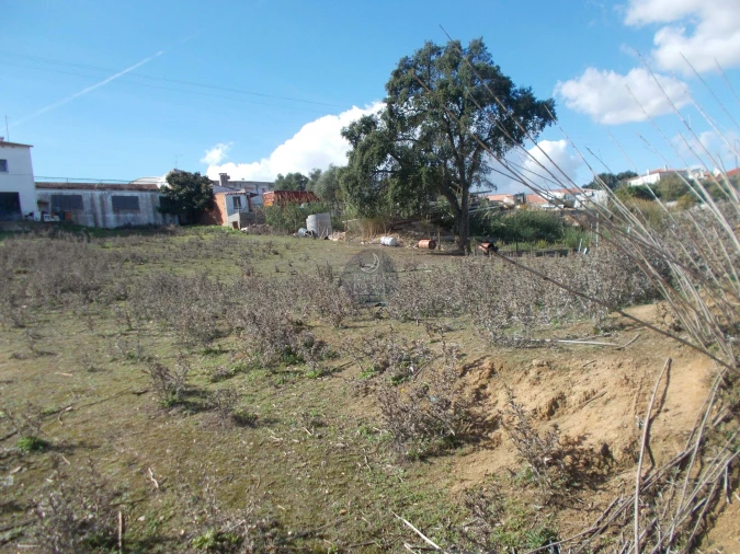 Terreno para Venda em Marvila, Ribeira Santarém, São Salvador, São Nicolau Foto 2