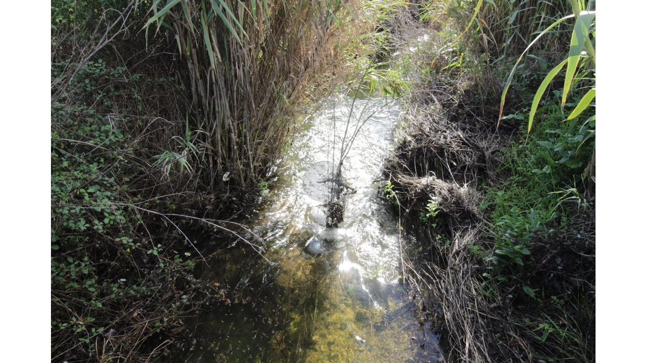 Terreno Agricola ou Rústico para Venda em Brogueira, Parceiros de Igreja e Alcorochel Foto 3