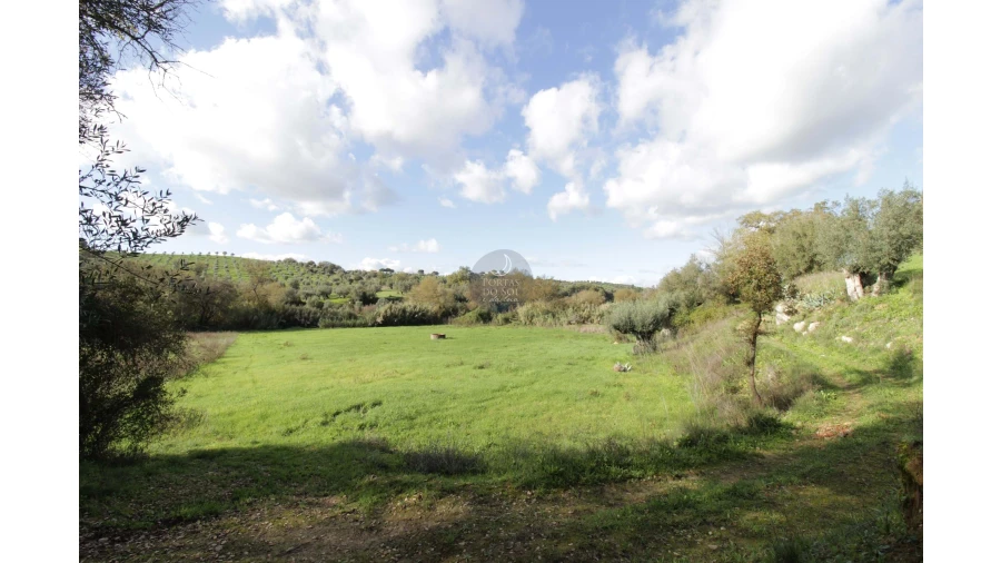 Terreno Agricola ou Rústico para Venda em Brogueira, Parceiros de Igreja e Alcorochel