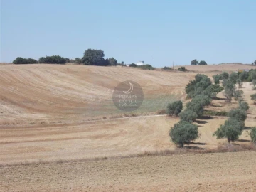 Terreno para Venda em Romeira e Várzea