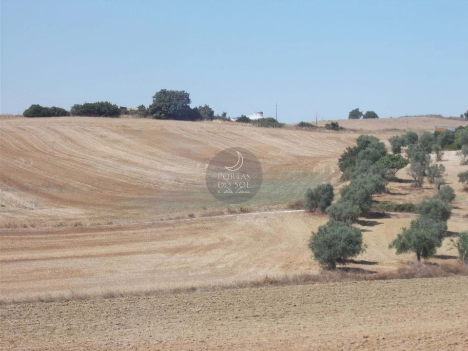Terreno para Venda em Romeira e Várzea Foto 1