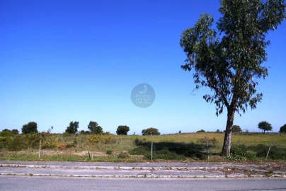 Terreno Agricola ou Rústico para Venda em Almoster