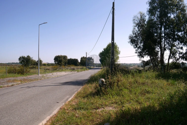 Terreno Agricola ou Rústico para Venda em Almoster Foto 4