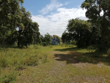 Terreno para Venda em Marvila, Ribeira Santarém, São Salvador, São Nicolau