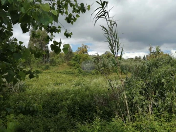 Terreno para Venda em Marvila, Ribeira Santarém, São Salvador, São Nicolau