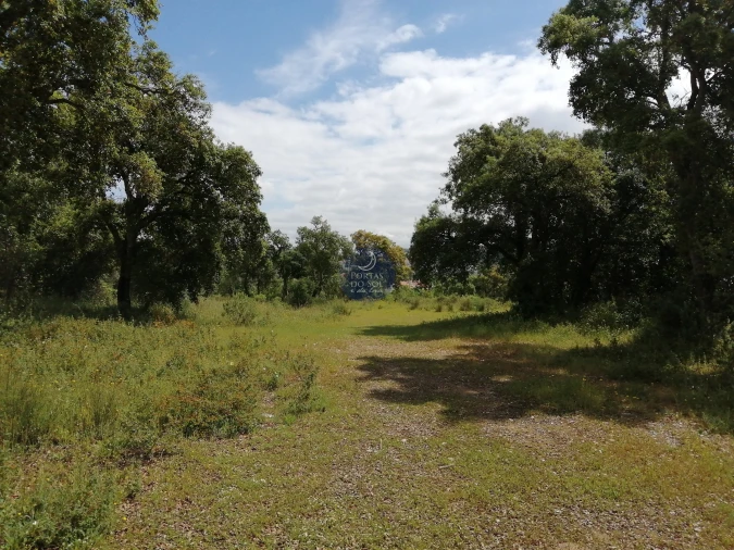 Terreno para Venda em Marvila, Ribeira Santarém, São Salvador, São Nicolau Foto 6