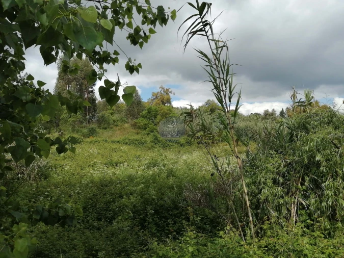 Terreno para Venda em Marvila, Ribeira Santarém, São Salvador, São Nicolau Foto 5