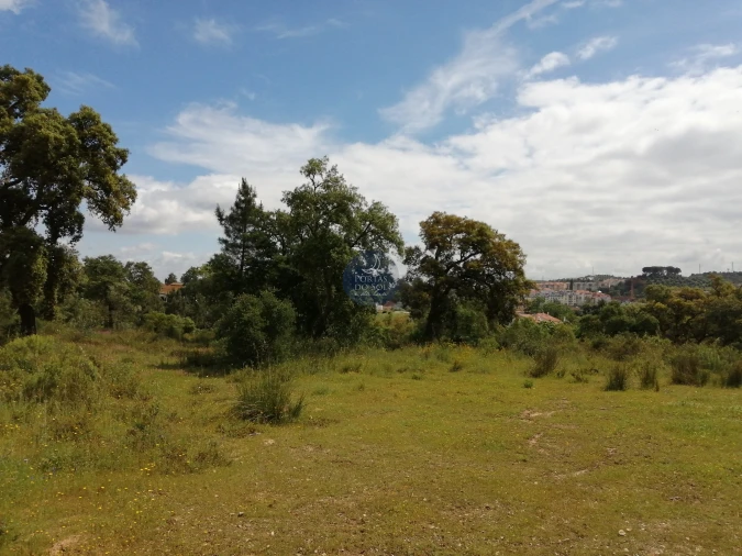 Terreno para Venda em Marvila, Ribeira Santarém, São Salvador, São Nicolau Foto 4