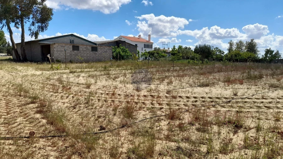 Moradia T6 para Venda em Salvaterra de Magos e Foros de Salvaterra Foto 25