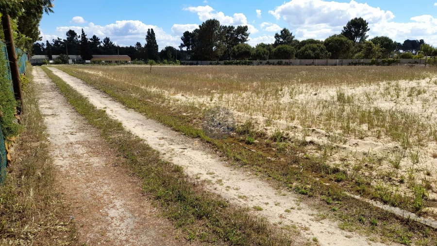 Moradia T6 para Venda em Salvaterra de Magos e Foros de Salvaterra Foto 26