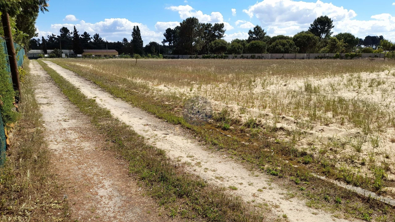 Moradia T6 para Venda em Salvaterra de Magos e Foros de Salvaterra Foto 26