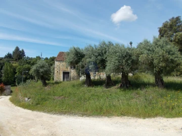 Terreno para Venda em Achete, Azoia de Baixo e Póvoa de Santarém