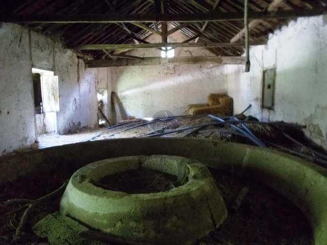 Terreno para Venda em Achete, Azoia de Baixo e Póvoa de Santarém Foto 18