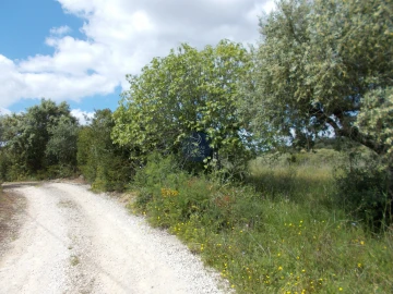 Terreno para Venda em Achete, Azoia de Baixo e Póvoa de Santarém