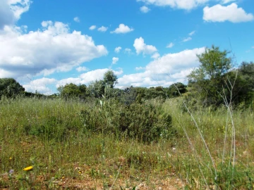 Terreno para Venda em Achete, Azoia de Baixo e Póvoa de Santarém