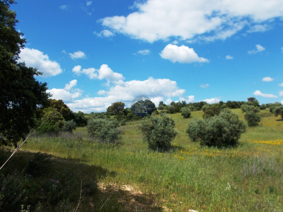 Terreno para Venda em Achete, Azoia de Baixo e Póvoa de Santarém Foto 7