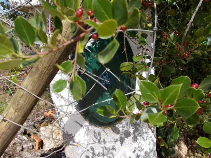 Terreno para Venda em Achete, Azoia de Baixo e Póvoa de Santarém Foto 4