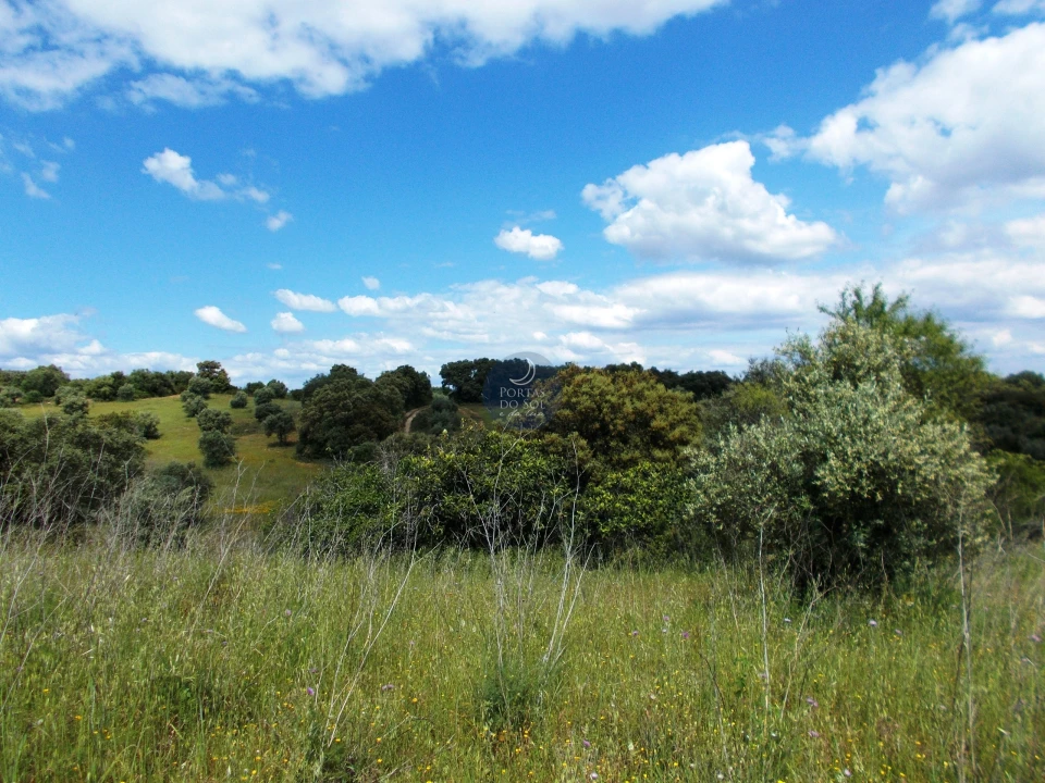 Terreno para Venda em Achete, Azoia de Baixo e Póvoa de Santarém Foto 5
