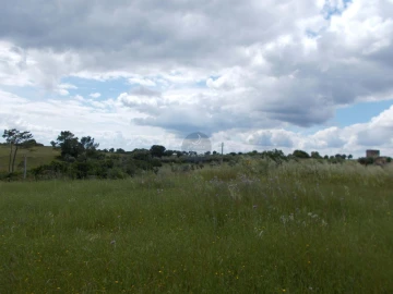 Terreno Agricola ou Rústico para Venda em Achete, Azoia de Baixo e Póvoa de Santarém
