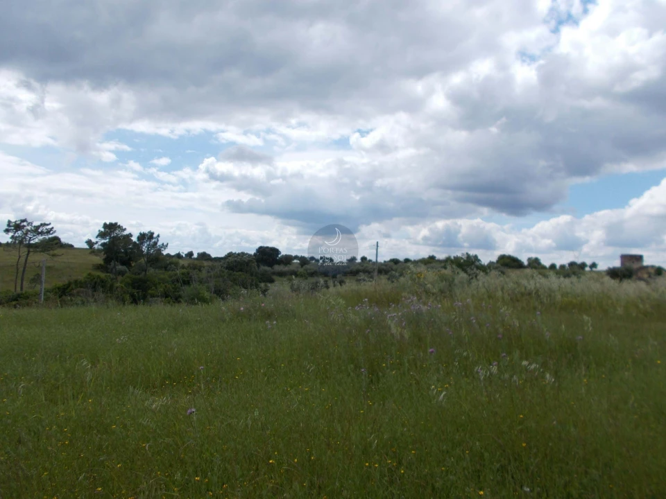 Terreno Agricola ou Rústico para Venda em Achete, Azoia de Baixo e Póvoa de Santarém Foto 3