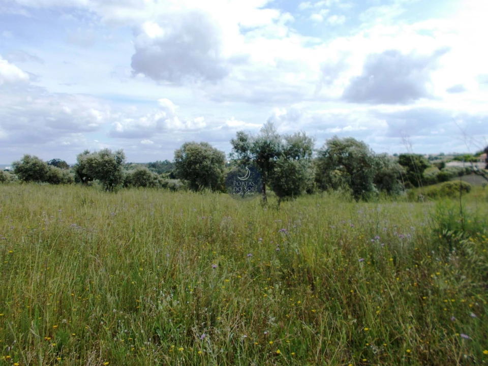 Terreno Agricola ou Rústico para Venda em Achete, Azoia de Baixo e Póvoa de Santarém Foto 2