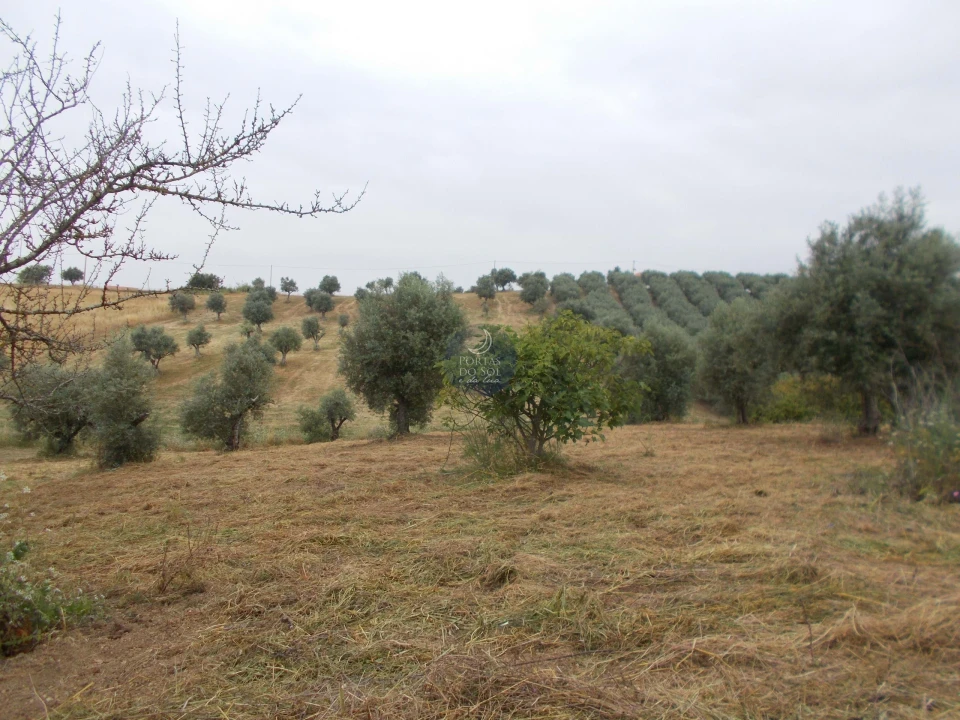 Terreno para Venda em Achete, Azoia de Baixo e Póvoa de Santarém Foto 1