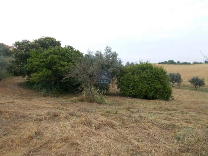 Terreno para Venda em Achete, Azoia de Baixo e Póvoa de Santarém Foto 4