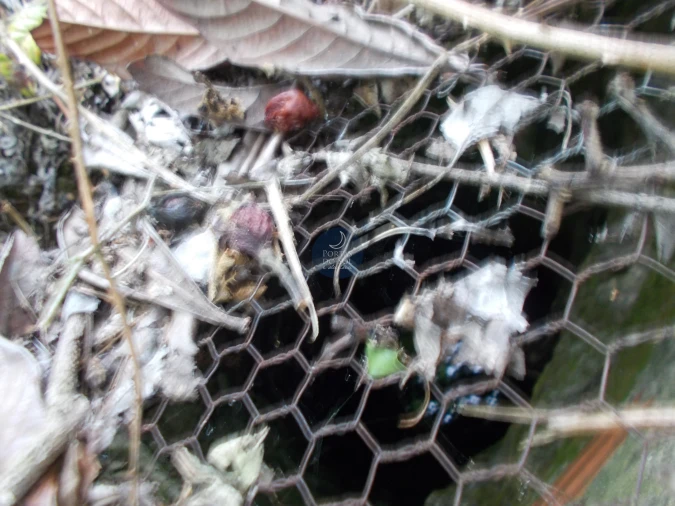 Terreno para Venda em Achete, Azoia de Baixo e Póvoa de Santarém Foto 6