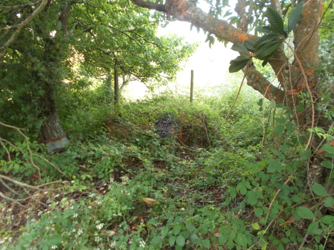 Terreno para Venda em Achete, Azoia de Baixo e Póvoa de Santarém Foto 5