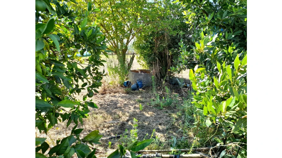Moradia para Venda em Fazendas de Almeirim Foto 3