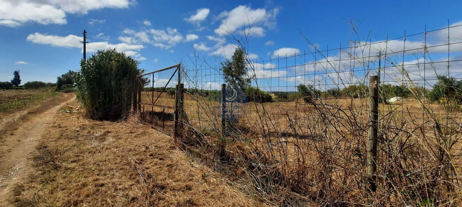 Terreno para Venda em Romeira e Várzea Foto 9